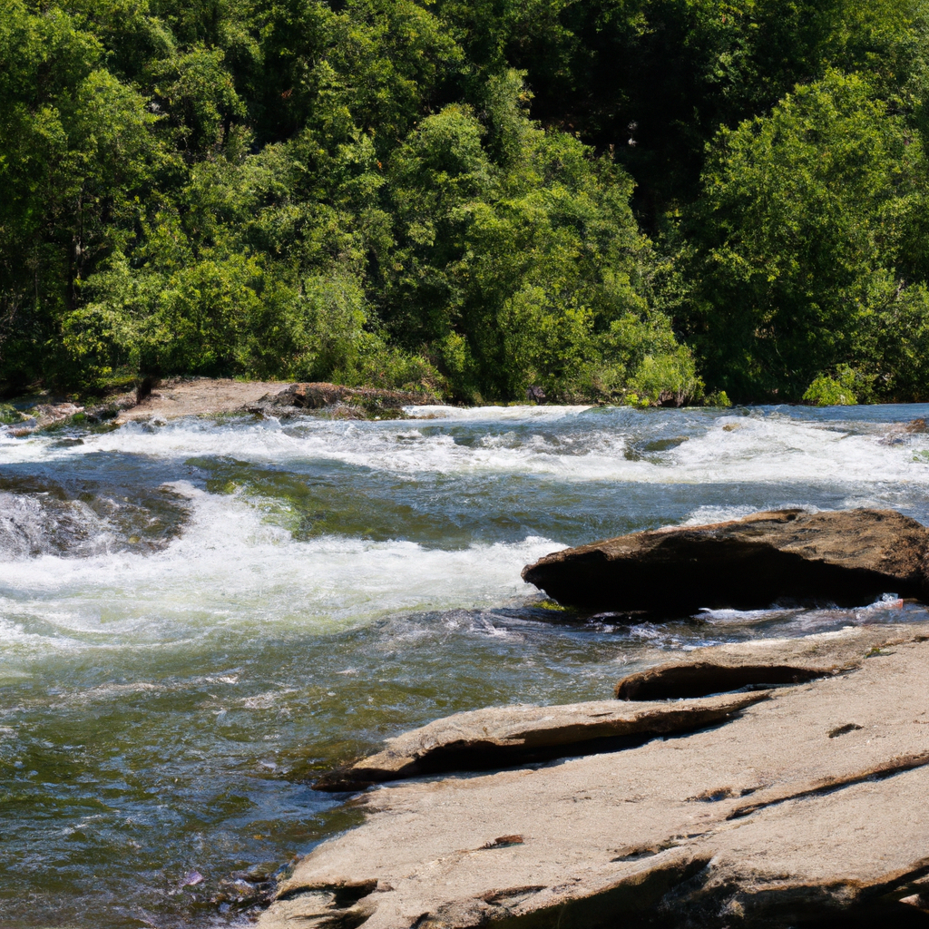 Wet and Wild: Exploring Rivers, Waterfalls, and Rapids